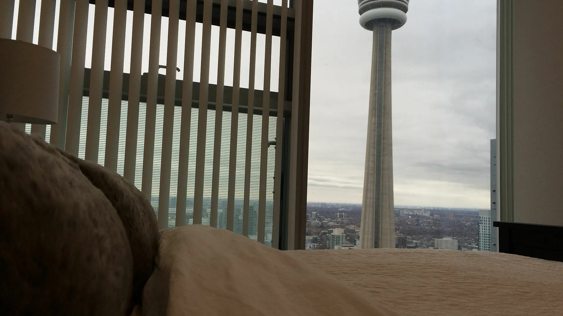 Hotel To Stays - York And Lakeshore Toronto